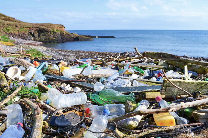Plastic Pollution
